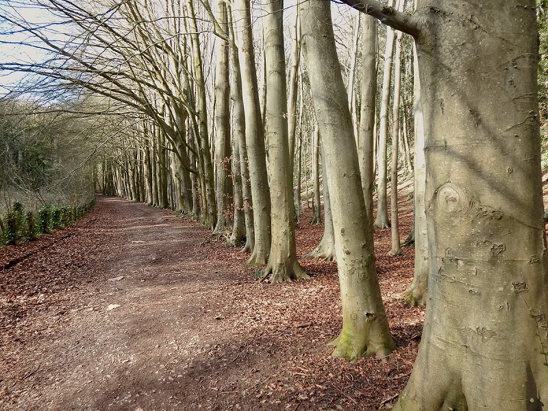 Davies with Easton Dinas Powys